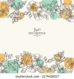 Background with sida cordifolia: sida cordifolia plant, bala leaves and sida cordifolia flowers. Bala. Cosmetic, perfumery and medical plant. Vector hand drawn illustration.