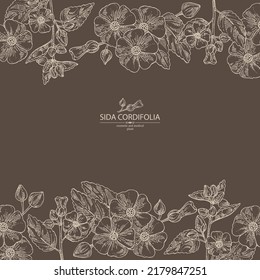 Background with sida cordifolia: sida cordifolia plant, bala leaves and sida cordifolia flowers. Bala. Cosmetic, perfumery and medical plant. Vector hand drawn illustration.