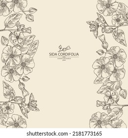 Background with sida cordifolia: sida cordifolia plant, bala leaves and sida cordifolia flowers. Bala. Cosmetic, perfumery and medical plant. Vector hand drawn illustration.