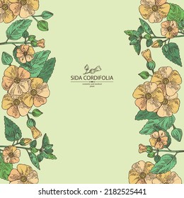 Background with sida cordifolia: sida cordifolia plant, bala leaves and sida cordifolia flowers. Bala. Cosmetic, perfumery and medical plant. Vector hand drawn illustration.