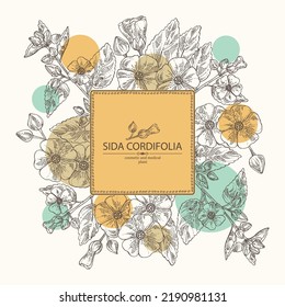 Background with sida cordifolia: sida cordifolia plant, bala leaves and sida cordifolia flowers. Bala. Cosmetic, perfumery and medical plant. Vector hand drawn illustration.