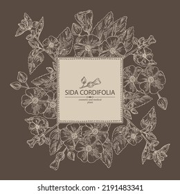 Background with sida cordifolia: sida cordifolia plant, bala leaves and sida cordifolia flowers. Bala. Cosmetic, perfumery and medical plant. Vector hand drawn illustration.