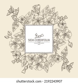 Background with sida cordifolia: sida cordifolia plant, bala leaves and sida cordifolia flowers. Bala. Cosmetic, perfumery and medical plant. Vector hand drawn illustration.