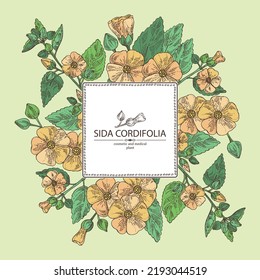 Background with sida cordifolia: sida cordifolia plant, bala leaves and sida cordifolia flowers. Bala. Cosmetic, perfumery and medical plant. Vector hand drawn illustration.