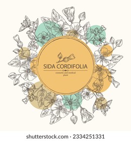 Background with sida cordifolia: sida cordifolia plant, bala leaves and sida cordifolia flowers. Bala. Cosmetic, perfumery and medical plant. Vector hand drawn illustration.