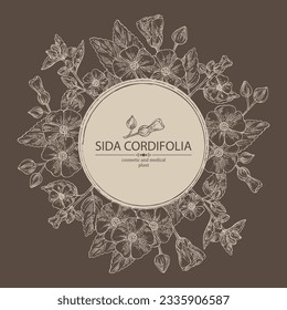 Background with sida cordifolia: sida cordifolia plant, bala leaves and sida cordifolia flowers. Bala. Cosmetic, perfumery and medical plant. Vector hand drawn illustration.