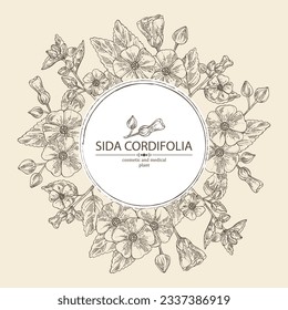 Background with sida cordifolia: sida cordifolia plant, bala leaves and sida cordifolia flowers. Bala. Cosmetic, perfumery and medical plant. Vector hand drawn illustration.