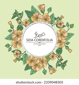 Background with sida cordifolia: sida cordifolia plant, bala leaves and sida cordifolia flowers. Bala. Cosmetic, perfumery and medical plant. Vector hand drawn illustration.