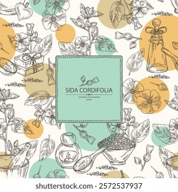 Background with sida cordifolia: sida cordifolia plant, bala leaves and sida cordifolia flowers. Bala. Oil, soap and bath salt . Cosmetics and medical plant. Vector hand drawn