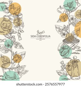 Background with sida cordifolia: sida cordifolia plant, bala leaves and sida cordifolia flowers. Bala. Oil, soap and bath salt . Cosmetics and medical plant. Vector hand drawn