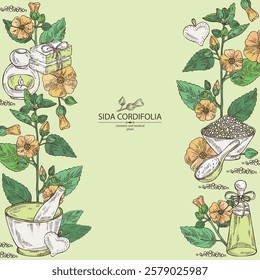 Background with sida cordifolia: sida cordifolia plant, bala leaves and sida cordifolia flowers. Bala. Oil, soap and bath salt . Cosmetics and medical plant. Vector hand drawn