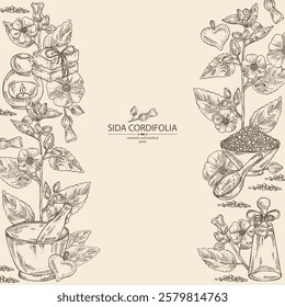 Background with sida cordifolia: sida cordifolia plant, bala leaves and sida cordifolia flowers. Bala. Oil, soap and bath salt . Cosmetics and medical plant. Vector hand drawn