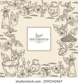 Background with sida cordifolia: sida cordifolia plant, bala leaves and sida cordifolia flowers. Bala. Oil, soap and bath salt . Cosmetics and medical plant. Vector hand drawn