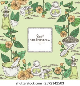 Background with sida cordifolia: sida cordifolia plant, bala leaves and sida cordifolia flowers. Bala. Oil, soap and bath salt . Cosmetics and medical plant. Vector hand drawn