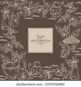 Background with sida cordifolia: sida cordifolia plant, bala leaves and sida cordifolia flowers. Bala. Oil, soap and bath salt . Cosmetics and medical plant. Vector hand drawn