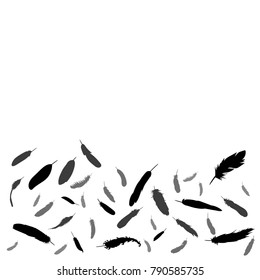 background with silhouette of bird feather