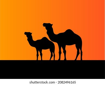 background or silhouette of a camel in the afternoon
