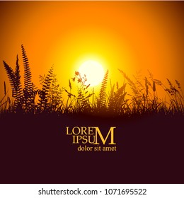 Background silhouette grass on the Sunset. Vector