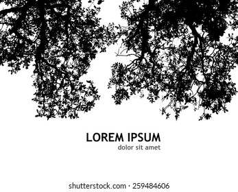 Background silhouette of tree branches. Vector
