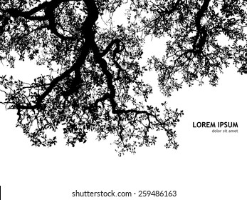 Background silhouette of tree branches. Vector