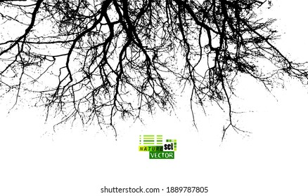 Background with silhouettes of bare branches of trees. Vector illustration