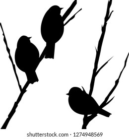 background with silhouettes of birds on the branches