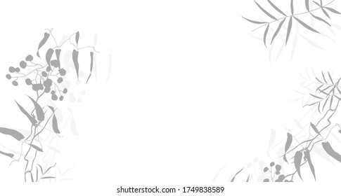 Background with silhouettes of grass and leaves. Vector illustration.