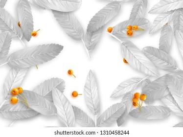 Background with silver leaves and realistic rowan berries. Fall Foliage.