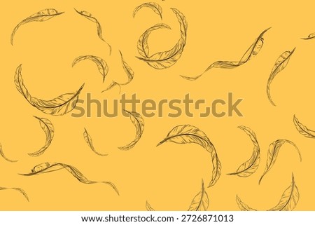 background with sketch of a collection of falling feathers