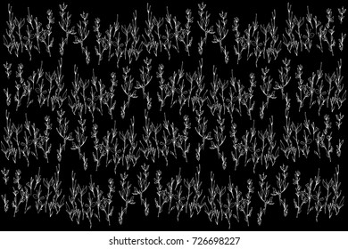  background sketch of a plant growing in a field