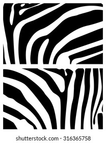 background skin zebra zebra zebra skin texture background zebra
