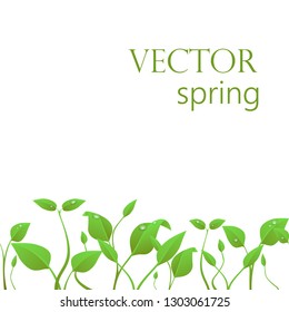 Background with small shoots. Without borders, green shoots. Vector.