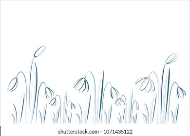 
Background with snowdrops. Spring flowers.