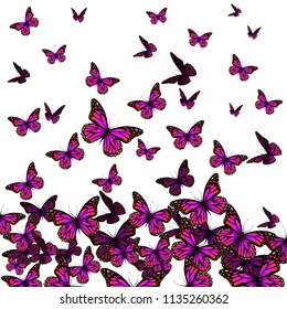 background with soaring purple butterflies
