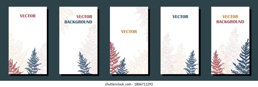 background for social media stories and banners with forest fern plant. Set. Place for an inscription. vector stock illustration. A modern template. Brochure, cover. White background
