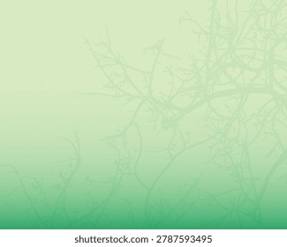 The background is a soft green background with a gradient. The texture is smooth jungle tree branch creating a serene and natural feel. Botanical background.eps