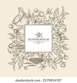 Background with solanum indicum: brihati plant, leaves, solanum indicum flowers and solanum indicum berries. Brihati. Oil, soap and bath salt . Cosmetics and medical plant. Vector hand draw