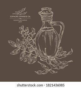 Background with sophora japonica and bottle o fsophora japonica oil. Vector hand drawn illustration