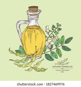 Background with sophora japonica and bottle o fsophora japonica oil. Vector hand drawn illustration