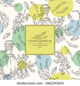 Background with sophora japonica and bottle o fsophora japonica oil. Vector hand drawn illustration