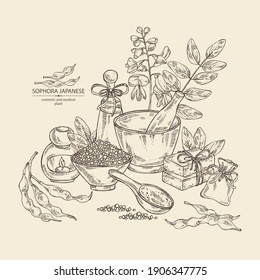 background with sophora japonica: branch, flower and pod of sophora japonica. Oil, soap and bath salt . Cosmetics and medical plant. Vector hand drawn illustration