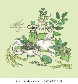 Background with sophora japonica: branch, flower and pod of sophora japonica. Oil, soap and bath salt . Cosmetics and medical plant. Vector hand drawn illustration