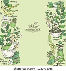 Background with sophora japonica: branch, flower and pod of sophora japonica. Oil, soap and bath salt . Cosmetics and medical plant. Vector hand drawn illustration