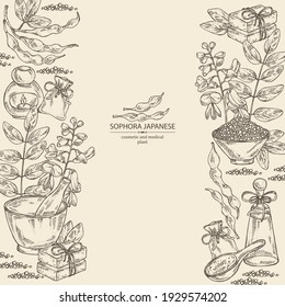 Background with sophora japonica: branch, flower and pod of sophora japonica. Oil, soap and bath salt . Cosmetics and medical plant. Vector hand drawn illustration