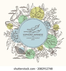 Background with sophora japonica: branch, flower and pod of sophora japonica. Oil, soap and bath salt . Cosmetics and medical plant. Vector hand drawn illustration