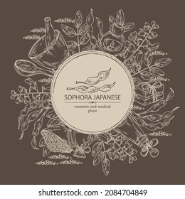 Background with sophora japonica: branch, flower and pod of sophora japonica. Oil, soap and bath salt . Cosmetics and medical plant. Vector hand drawn illustration