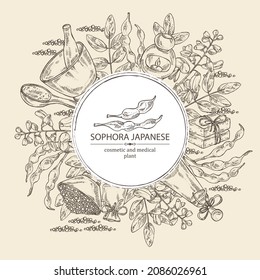 Background with sophora japonica: branch, flower and pod of sophora japonica. Oil, soap and bath salt . Cosmetics and medical plant. Vector hand drawn illustration