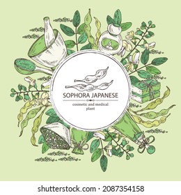 Background with sophora japonica: branch, flower and pod of sophora japonica. Oil, soap and bath salt . Cosmetics and medical plant. Vector hand drawn illustration