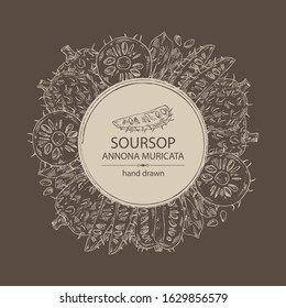 Background with soursop: fruit and soursop slice. Annona muricata. Vector hand drawn illustration.