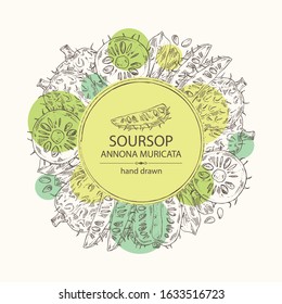 Fundo com soursop: fruta e fatia de soursop. Annona muricata. Ilustração desenhada à mão vetorial.